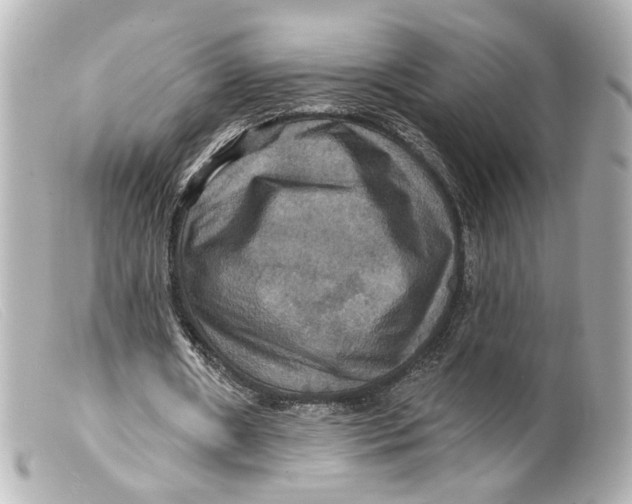 X0000099380482200805291131