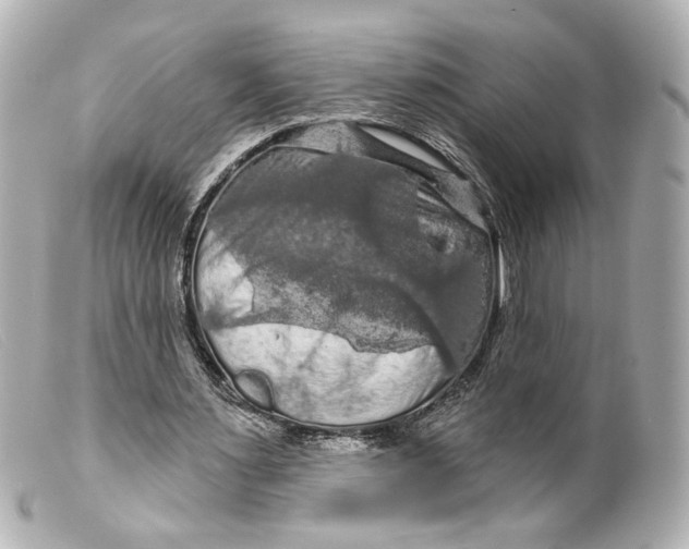 X0000099380483200805291131