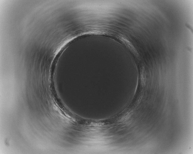 X0000099380484200805291131