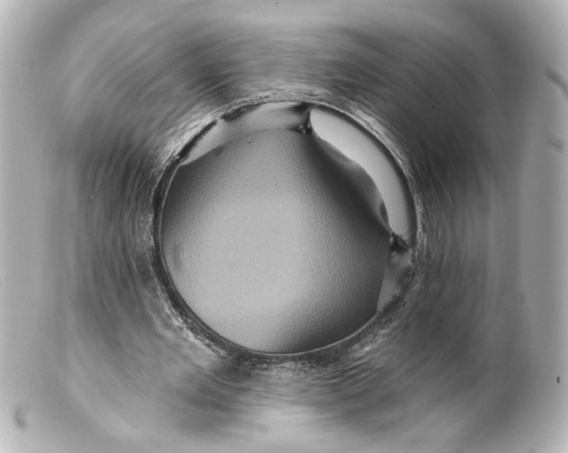 X0000099380485200805291131