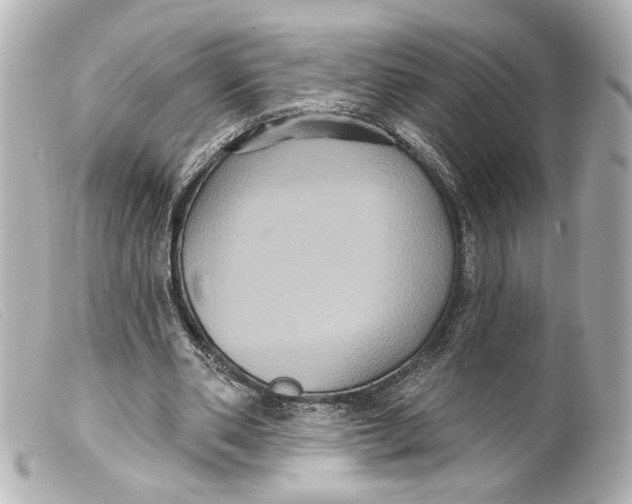 X0000099380486200805291131