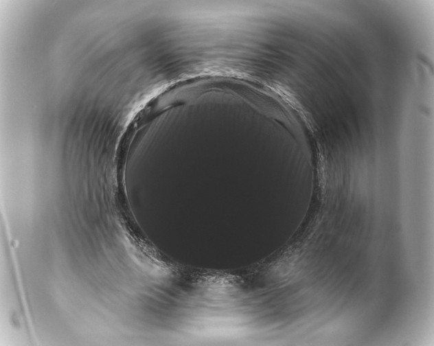 X0000099380488200805291131