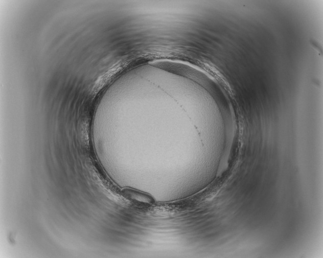 X0000099380489200805291131