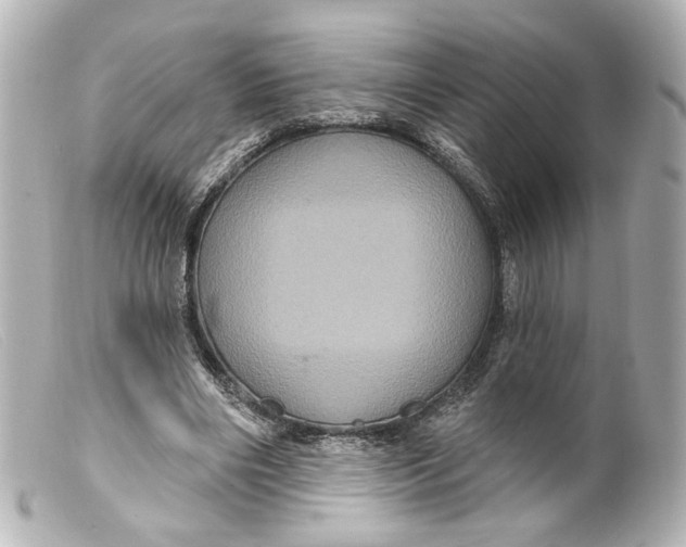 X0000099380490200805291131