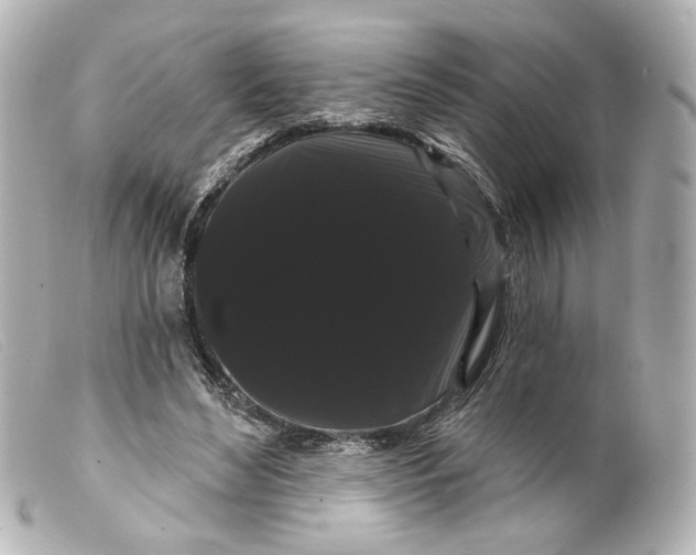 X0000099380492200805291131