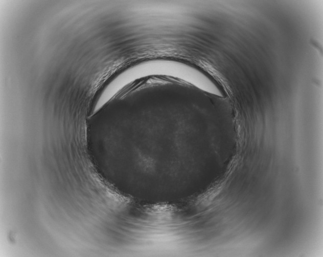 X0000099380493200805291131