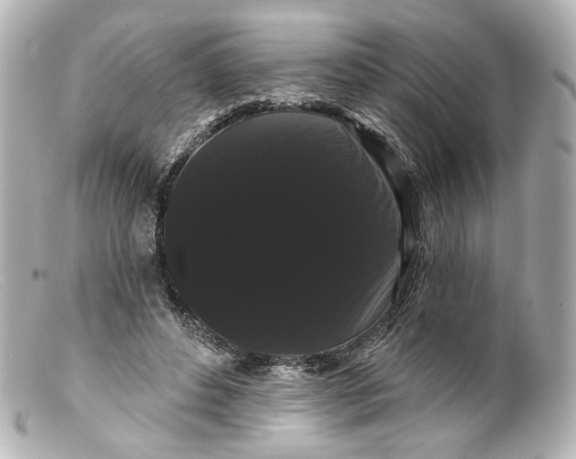 X0000099380496200805291131