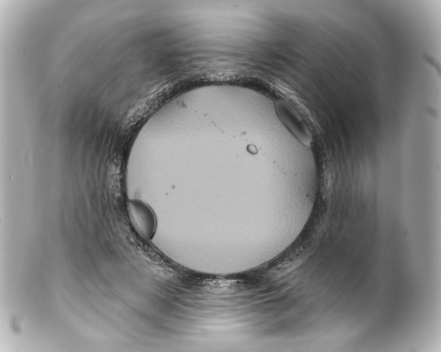 X0000099380497200805291131