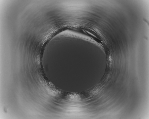 X0000099380500200805291131