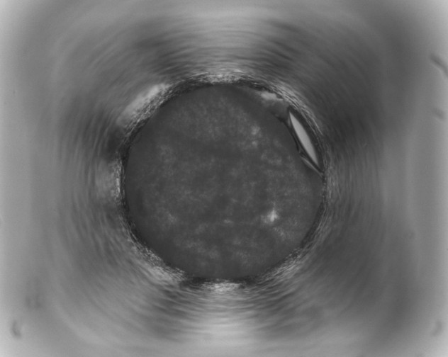 X0000099380501200805291131