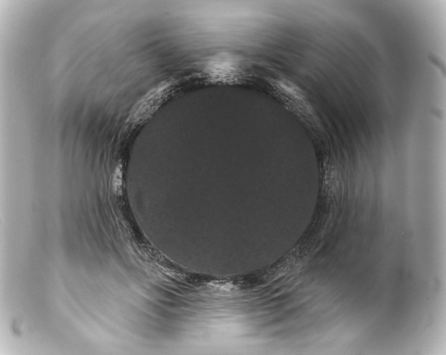 X0000099380502200805291131