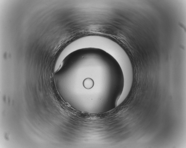 X0000099380503200805291131