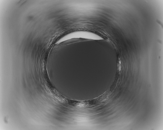 X0000099380504200805291131