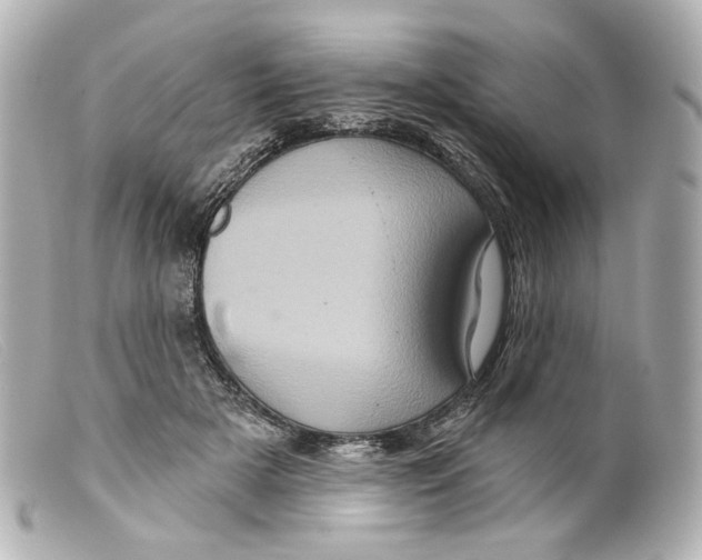 X0000099380505200805291131