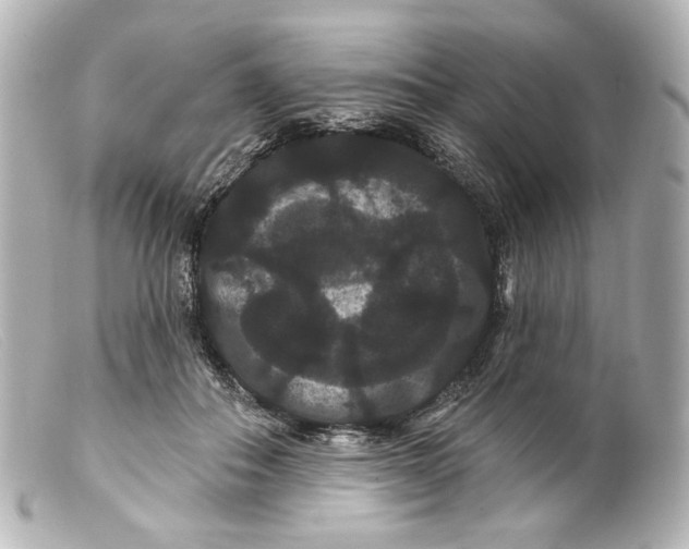 X0000099380506200805291131