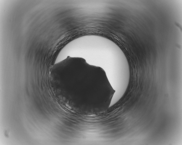 X0000099380507200805291131