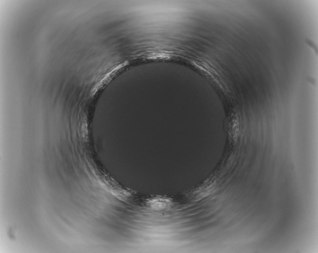 X0000099380508200805291131