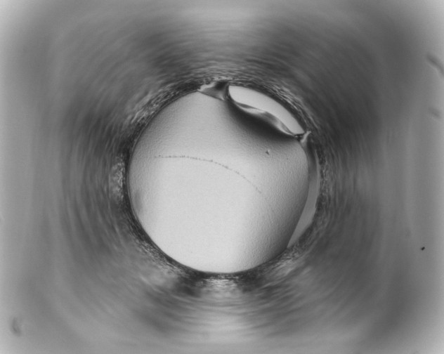 X0000099380509200805291131