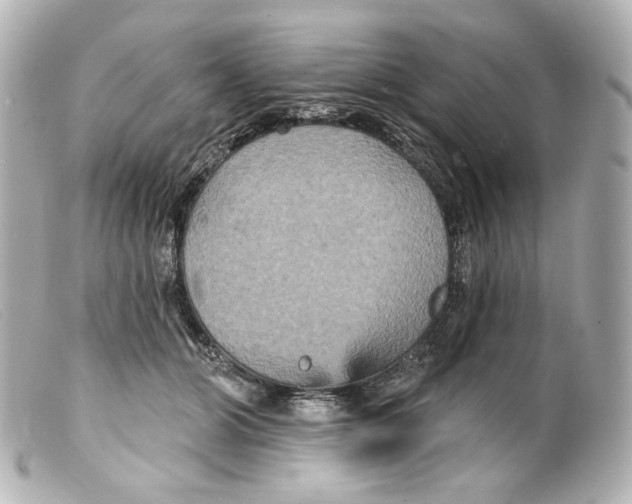 X0000099380510200805291131