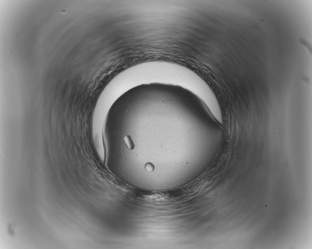 X0000099380511200805291131