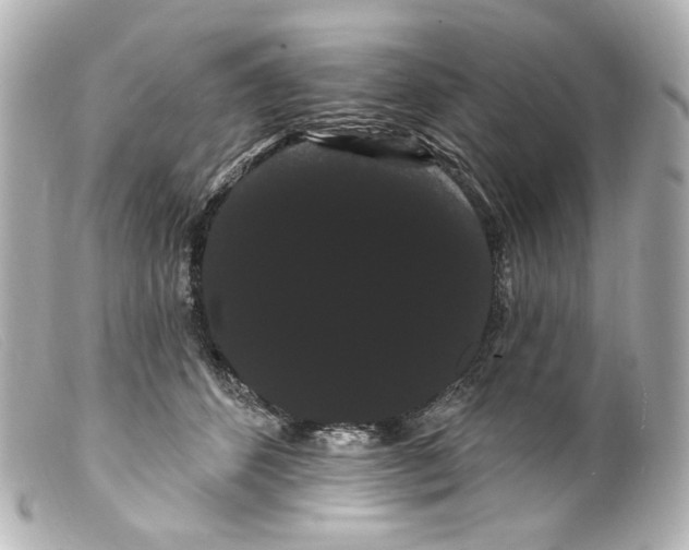 X0000099380512200805291131