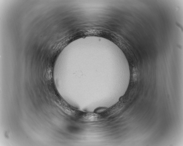 X0000099380514200805291131