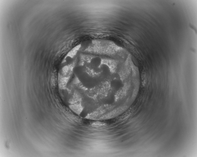 X0000099380515200805291131