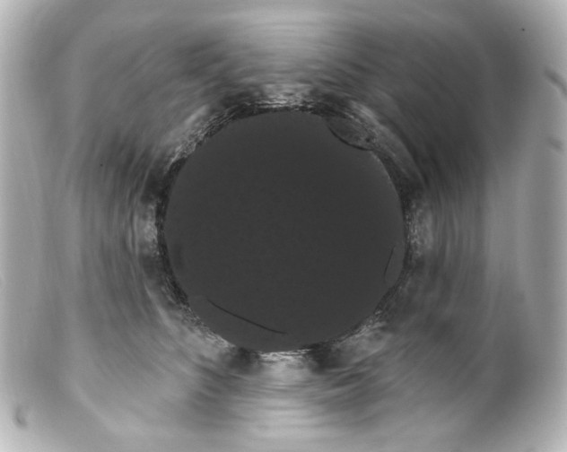 X0000099380516200805291131