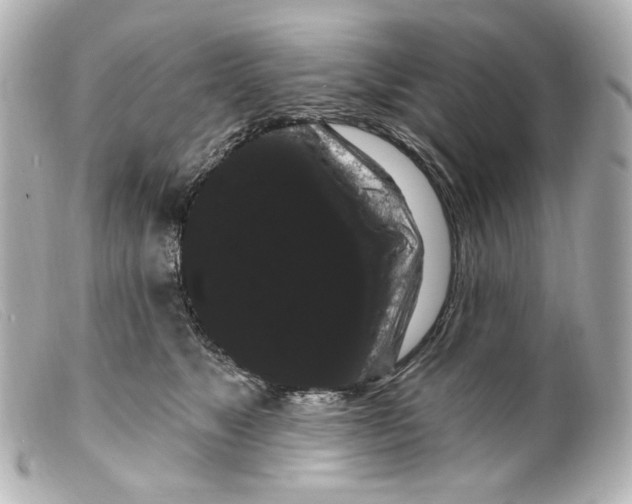 X0000099380517200805291131