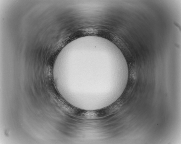 X0000099380518200805291131