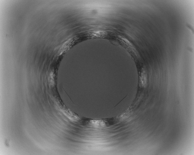 X0000099380520200805291131