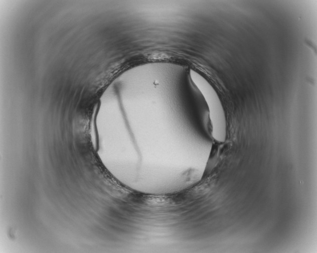 X0000099380521200805291131