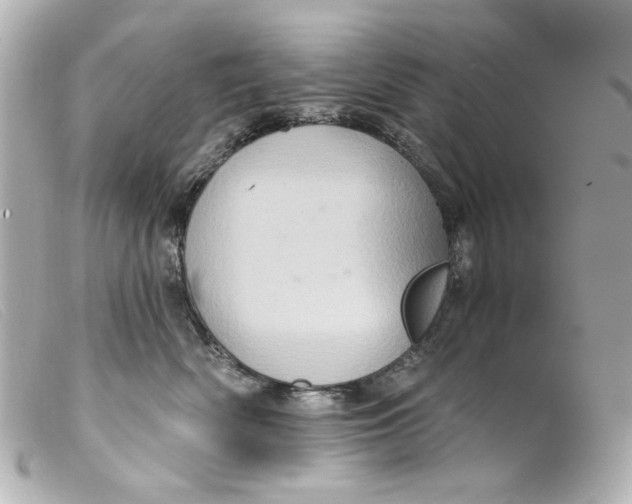 X0000099380522200805291131