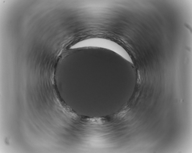 X0000099380524200805291131