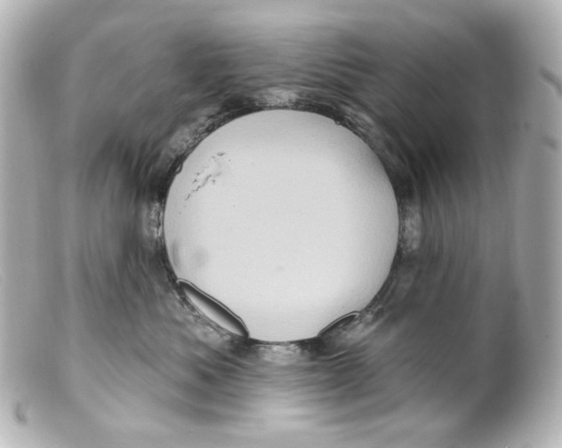 X0000099380525200805291131