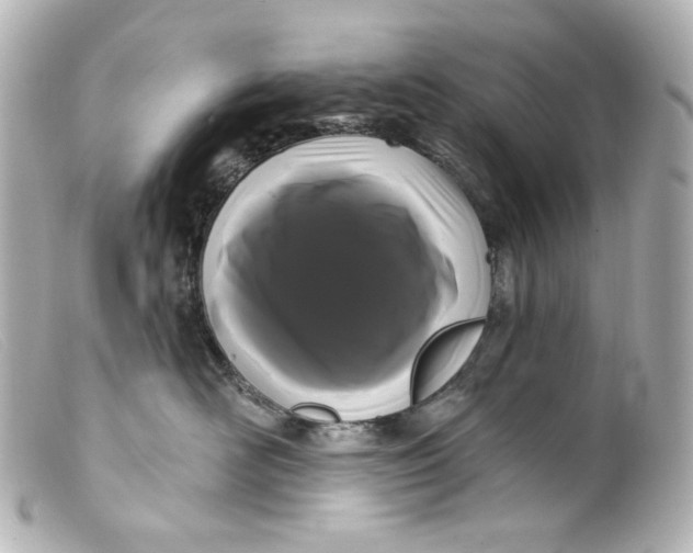 X0000099380526200805291131