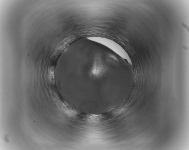 X0000099380527200805291131