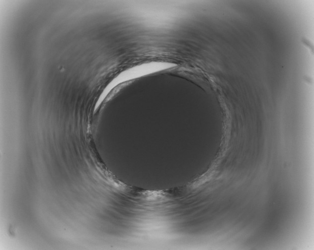 X0000099380528200805291131