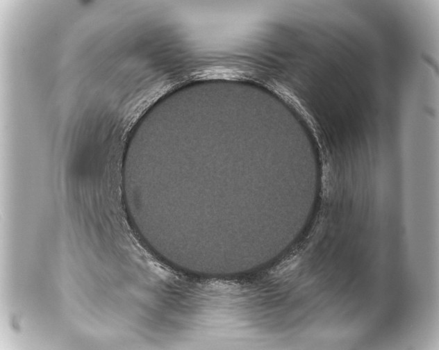 X0000099380529200805291130