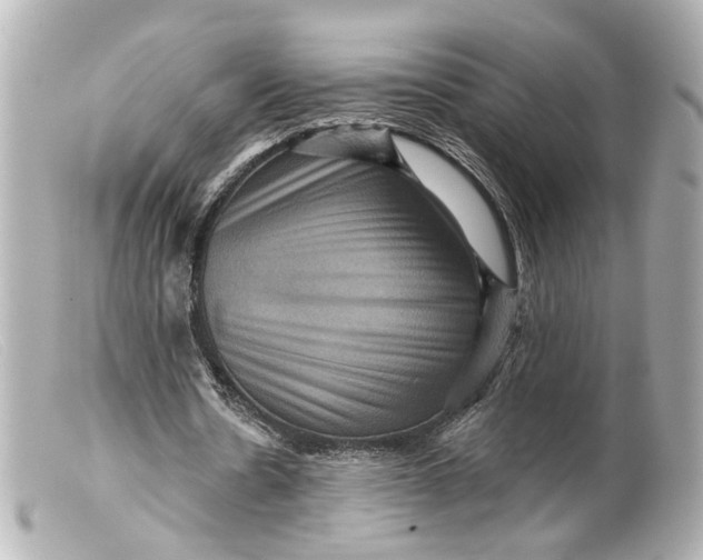 X0000099380530200805291130