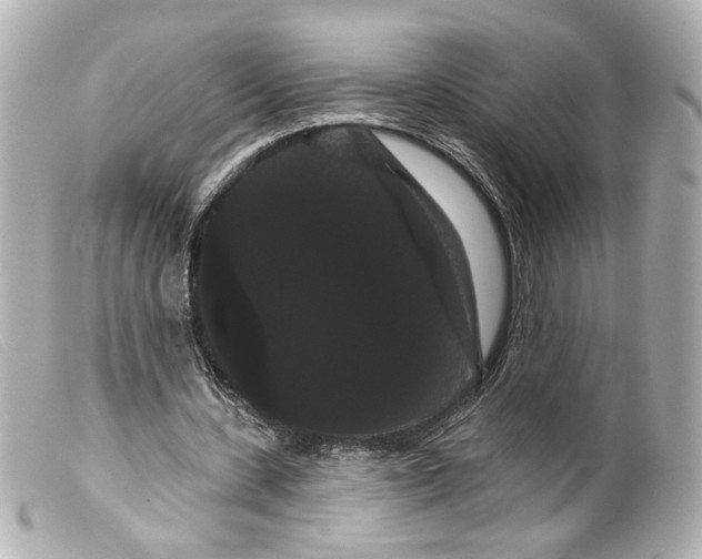 X0000099380531200805291130