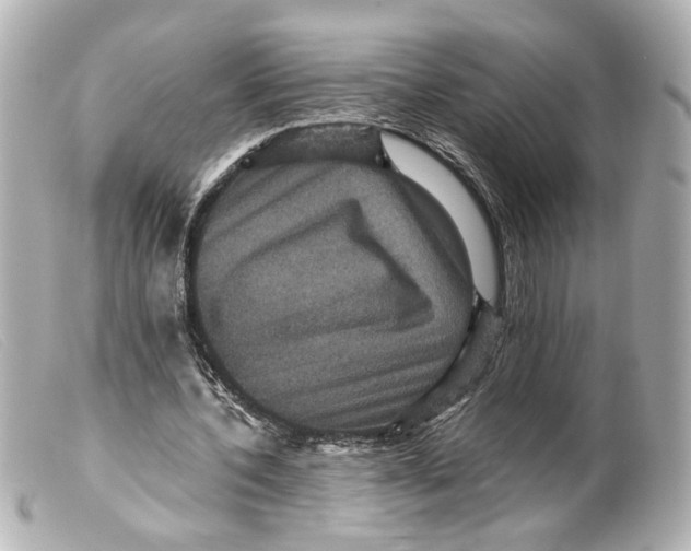 X0000099380532200805291130