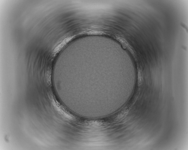 X0000099380533200805291130