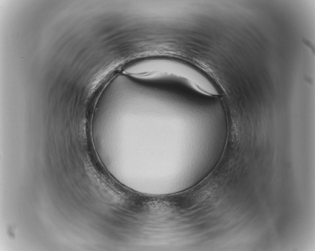 X0000099380535200805291130