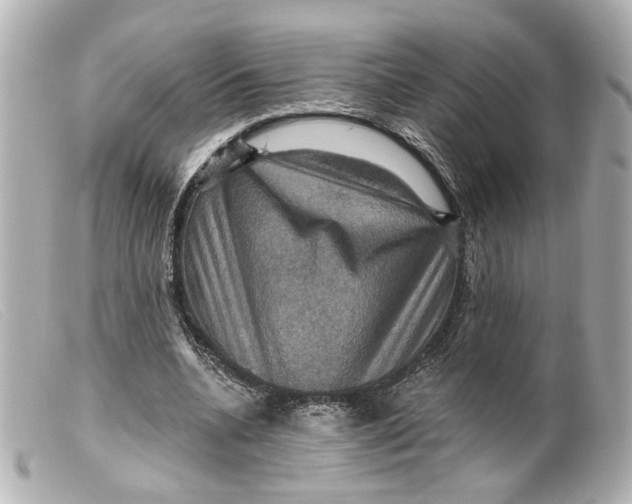 X0000099380536200805291130