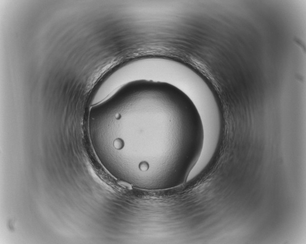 X0000099380538200805291130