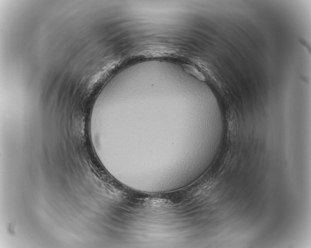 X0000099380539200805291130