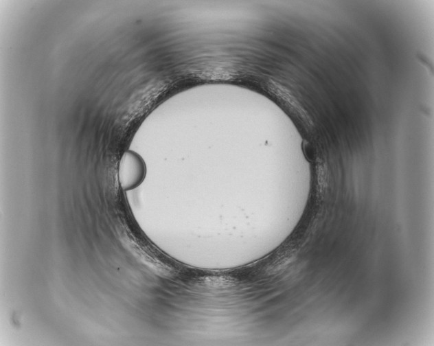 X0000099380541200805291130