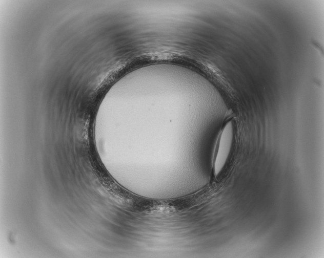 X0000099380543200805291130