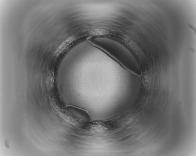 X0000099380544200805291130